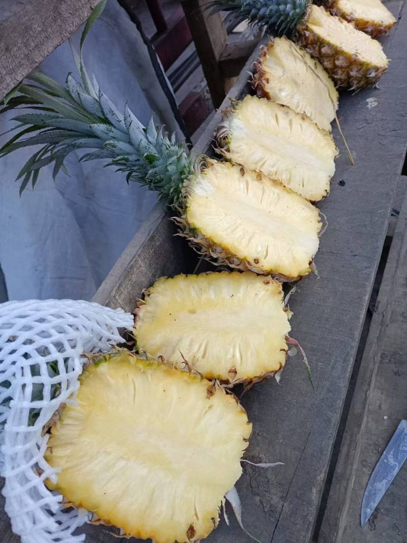 广东徐闻菠萝大量上市，各种规格，电商货，市场货，保质保量
