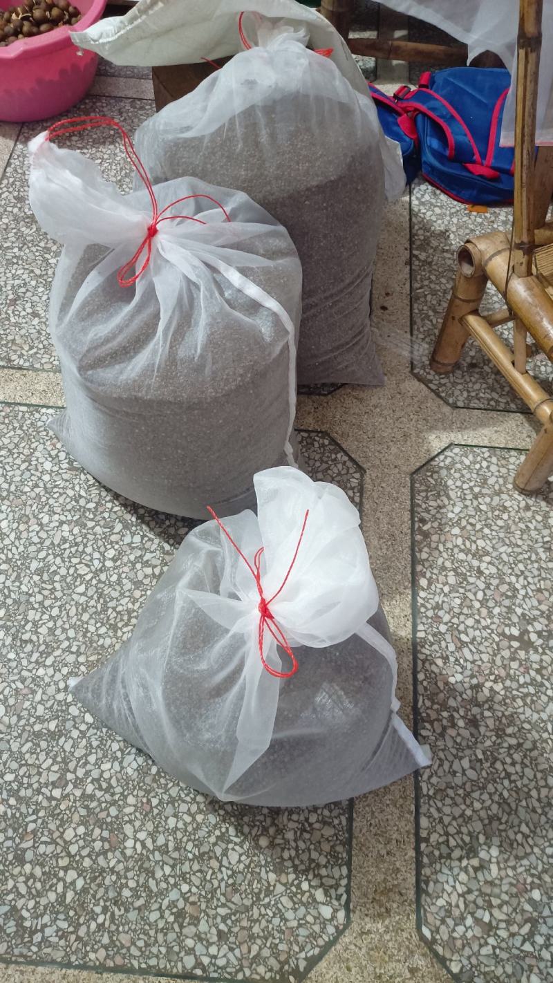 精品粉防己种子