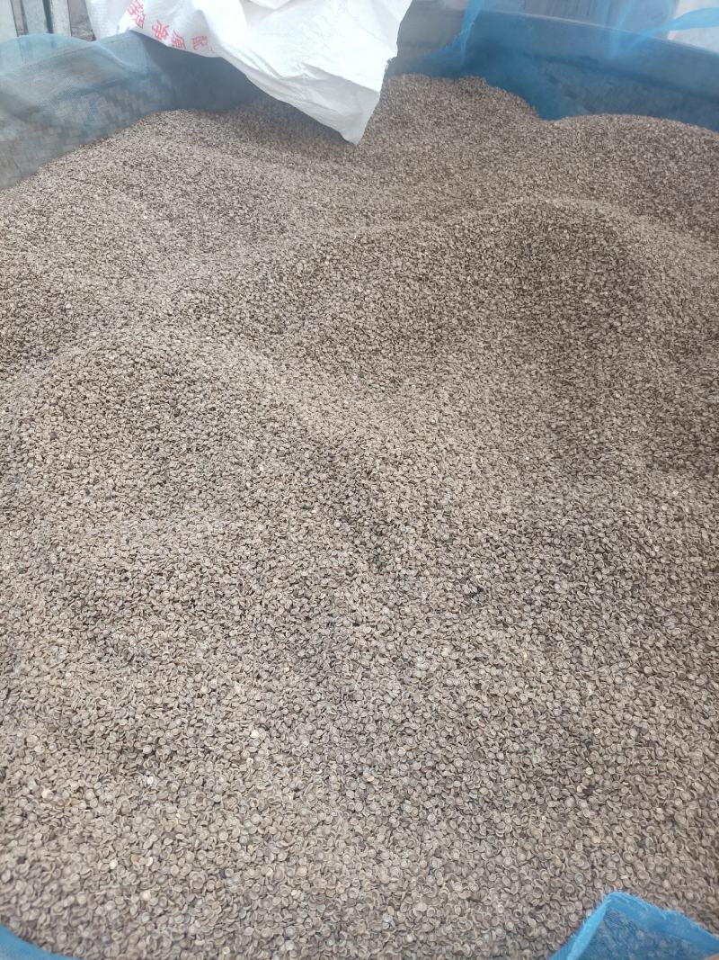 精品粉防己种子