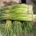 蒜苔红帽，苔长55公分左右，质量保证、产地直销、代发全国