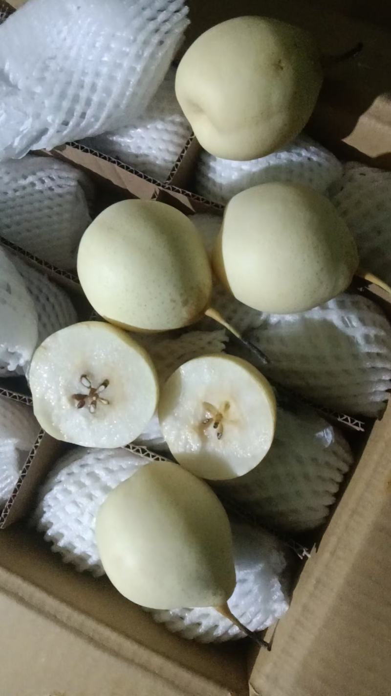 河北鸭梨，口感甜，产地直销，色白个大，需要的联系我