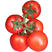 7845西红柿苗西红柿苗圣尼斯7845西红柿苗大红番茄苗
