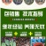 包销售包技术多年养殖经验养殖无忧手把手来厂家学技