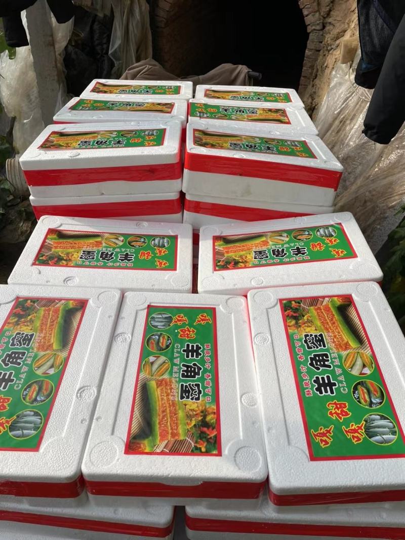 精品羊角蜜对接社区团购电商平台可一件代发