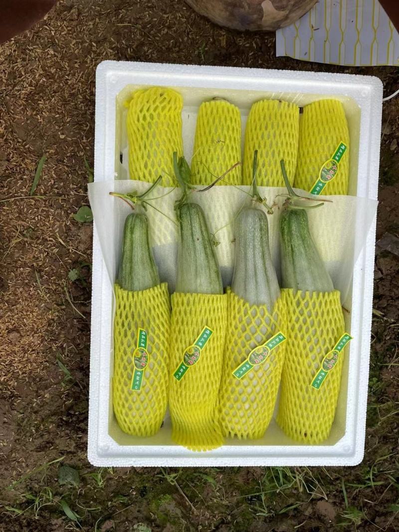精品羊角蜜对接社区团购电商平台可一件代发