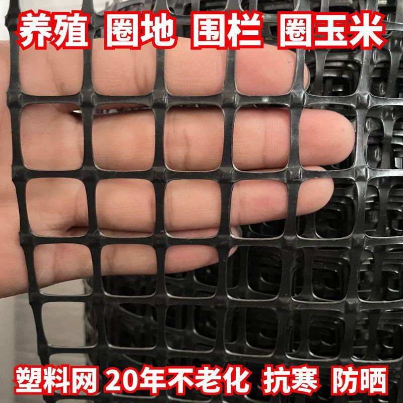塑料网2.6毫加厚围栏防护网果园农场圈地土工格栅养殖网