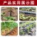 16贴片式滴灌带，农用滴灌带，草莓，玉米，大棚蔬菜滴灌