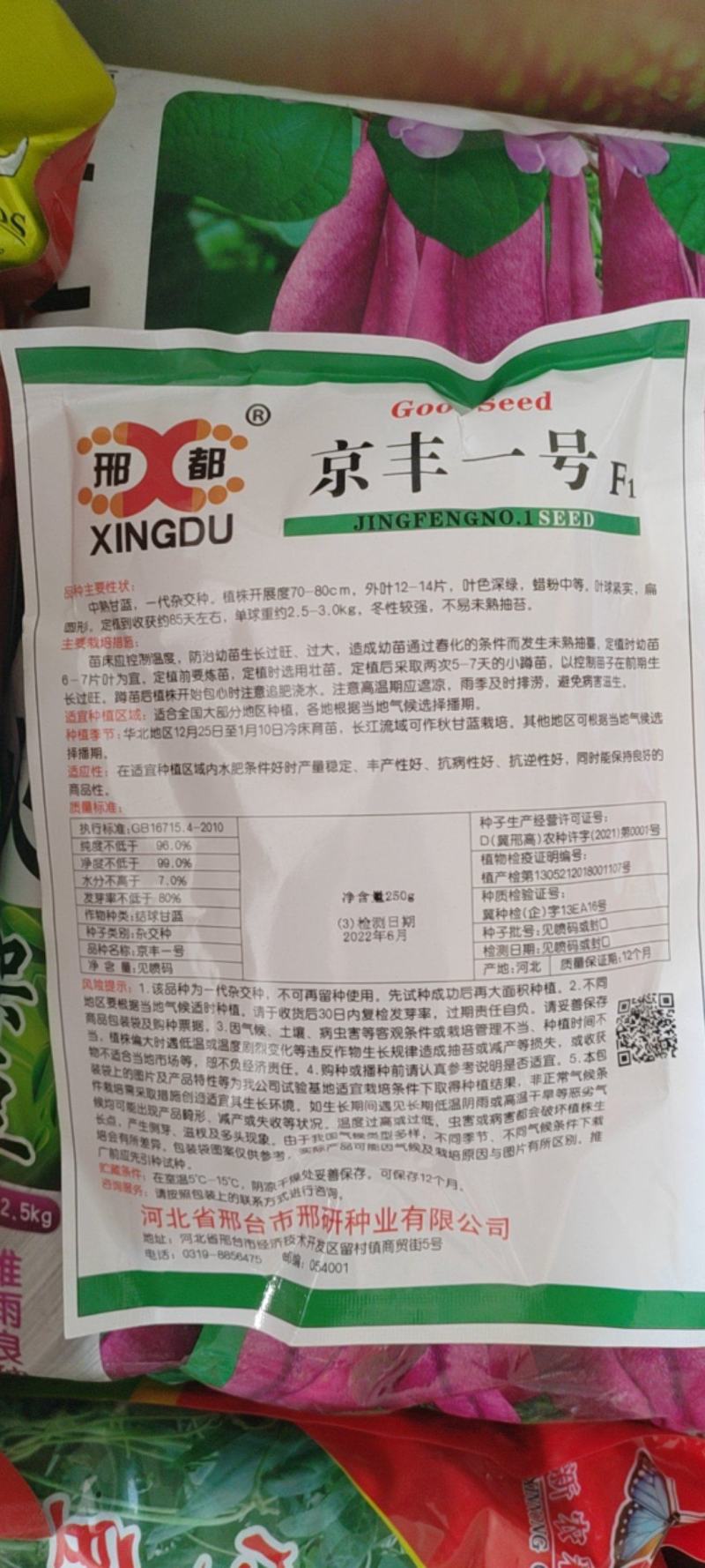 正宗河北邢台京丰一号甘蓝种子甘蓝种子包菜种子
