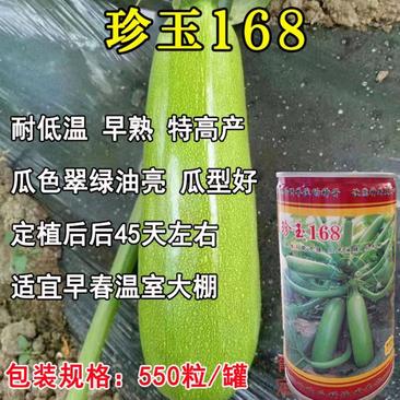 珍玉168西葫芦种子耐低温早熟瓜条顺直膨瓜快翠绿油亮