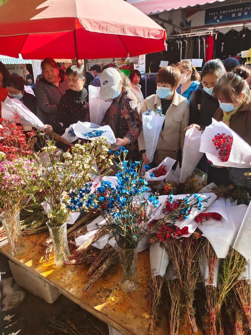 腊梅多颜色混装鲜花20元模式基地直发快递包邮夜市团购地摊