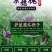紫穗槐种子棉刺槐树绿化斜山边坡高速公路护坡固土植物杂灌木
