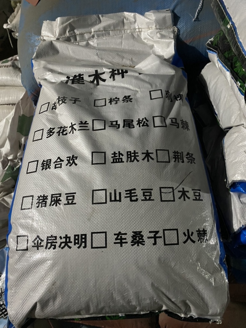 紫穗槐种子棉刺槐树绿化斜山边坡高速公路护坡固土植物杂灌木