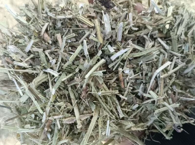 花生秧牛羊马兔鸵鸟草料1-3公分