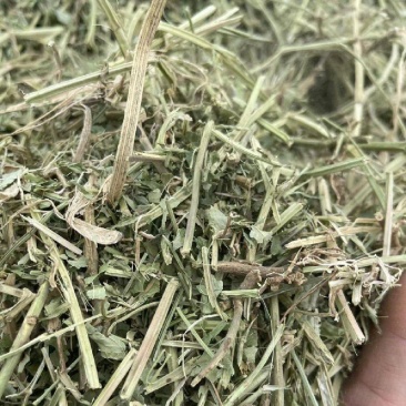 花生秧牛羊马兔鸵鸟草料1-3公分