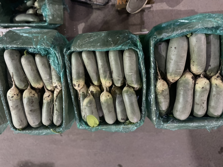 超市生鲜区青萝卜特写陈列