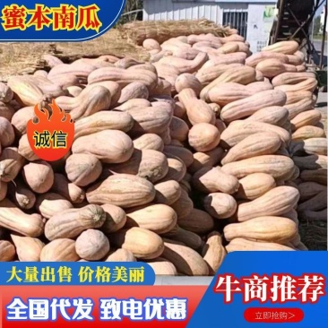 广西精品南瓜，新鲜上市，口感好，形状漂亮！