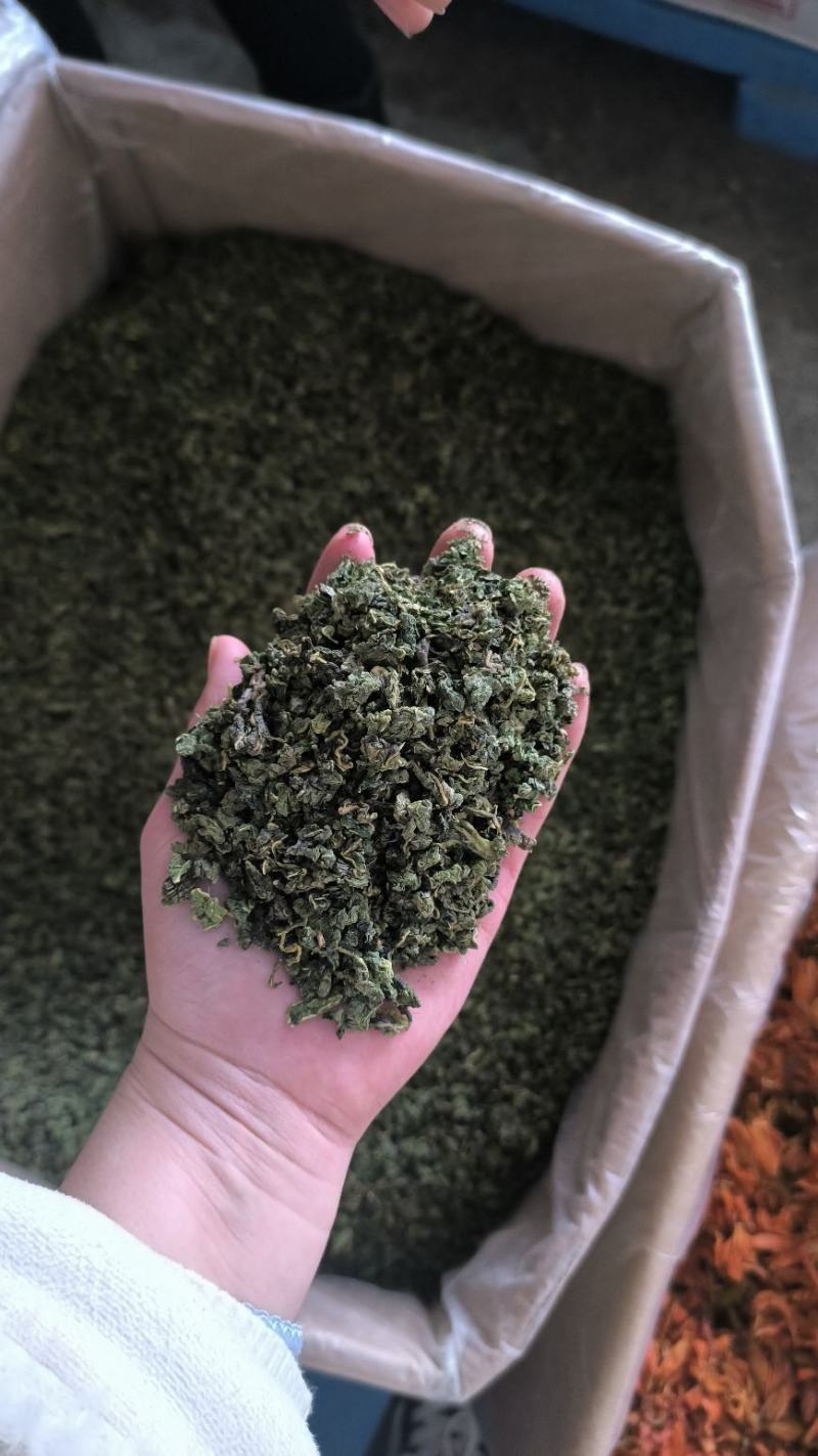 中药材桑叶干霜后桑叶桑叶粉桑叶泡新鲜散装干