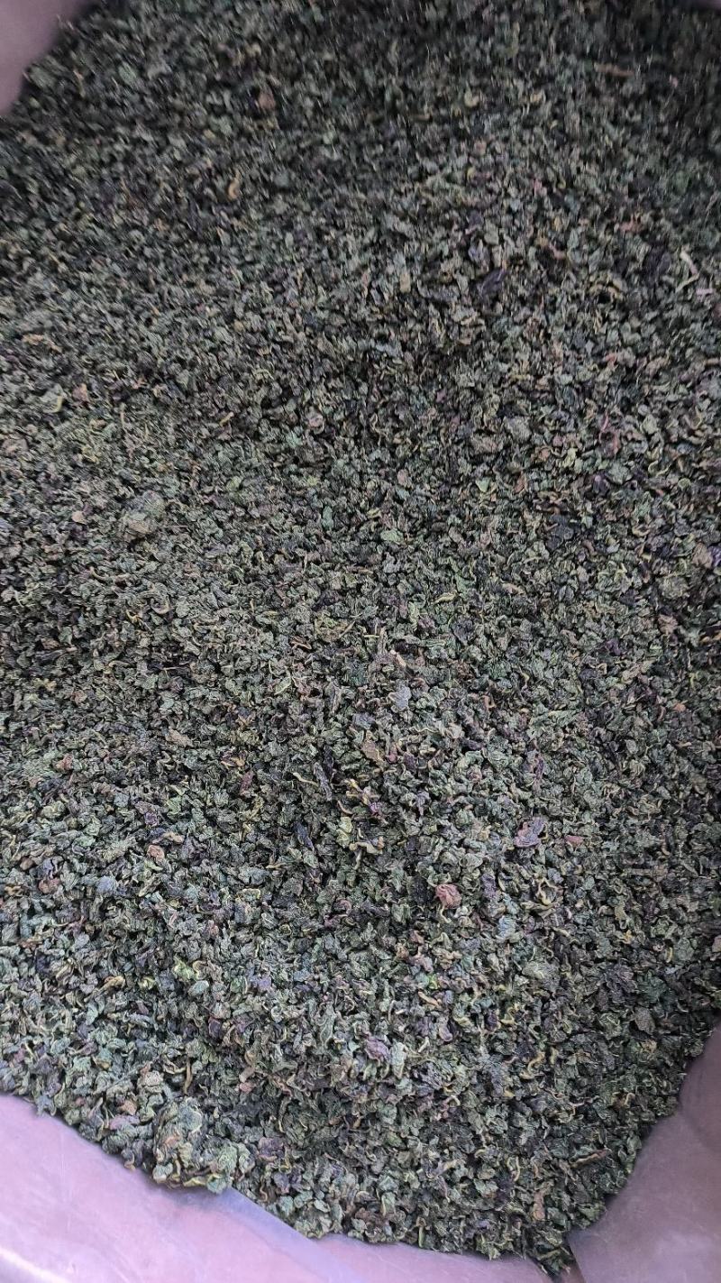 中药材桑叶干霜后桑叶桑叶粉桑叶泡新鲜散装干
