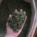 中药材桑叶干霜后桑叶桑叶粉桑叶泡新鲜散装干