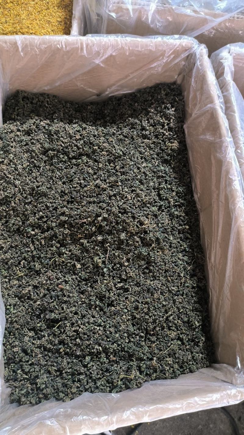 中药材桑叶干霜后桑叶桑叶粉桑叶泡新鲜散装干