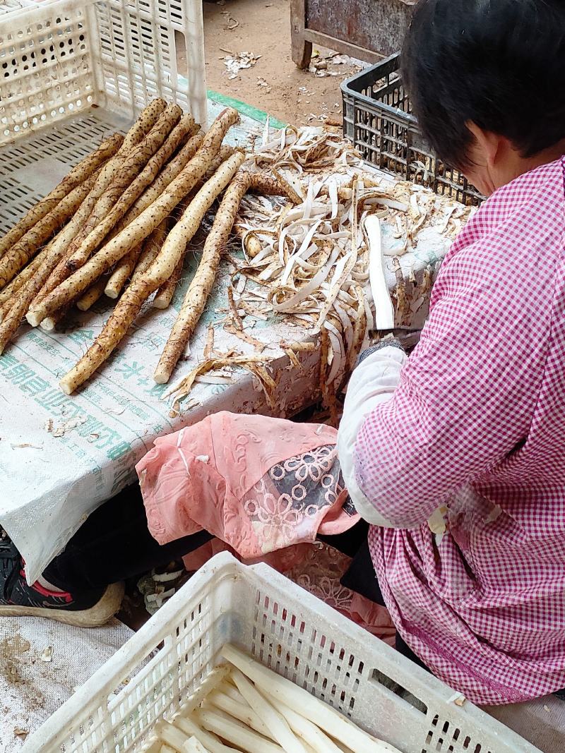 铁棍山药片河南焦作怀山药干500g包邮一件代发诚招代理