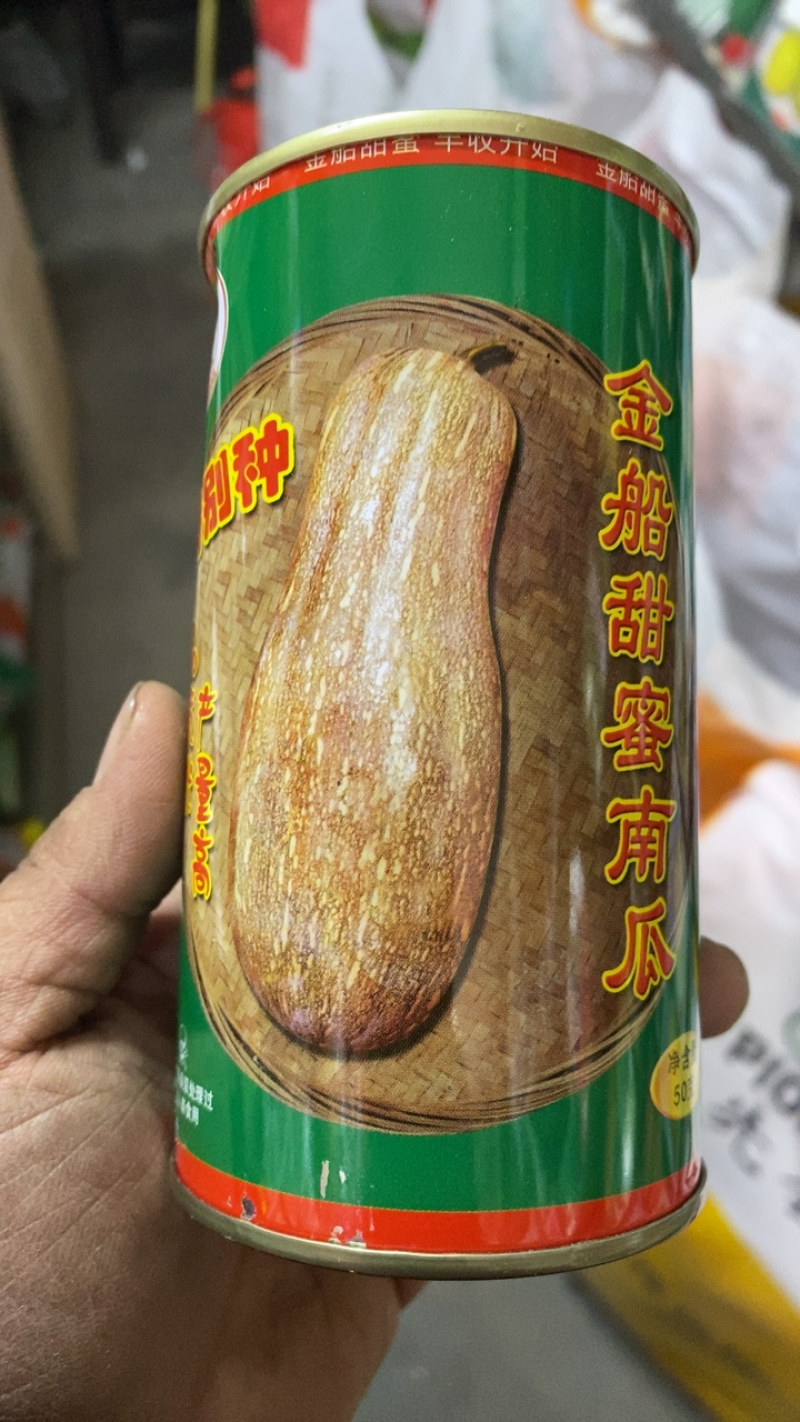 金船蜜本南瓜种子高产抗病品质好纯度高保证芽率