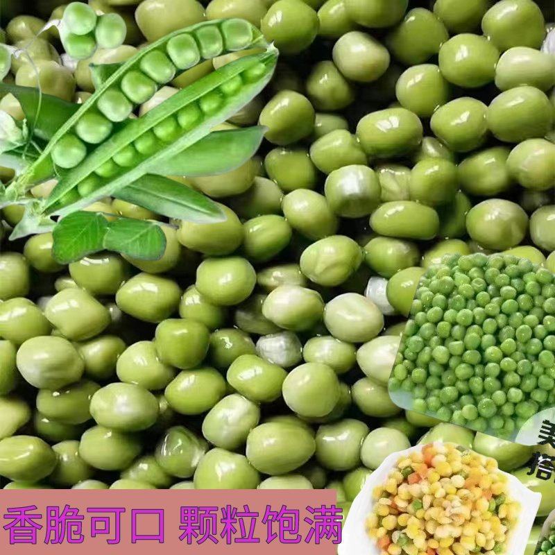 豌豆批发干青豌豆批发颗粒饱满地摊菜市批发货源