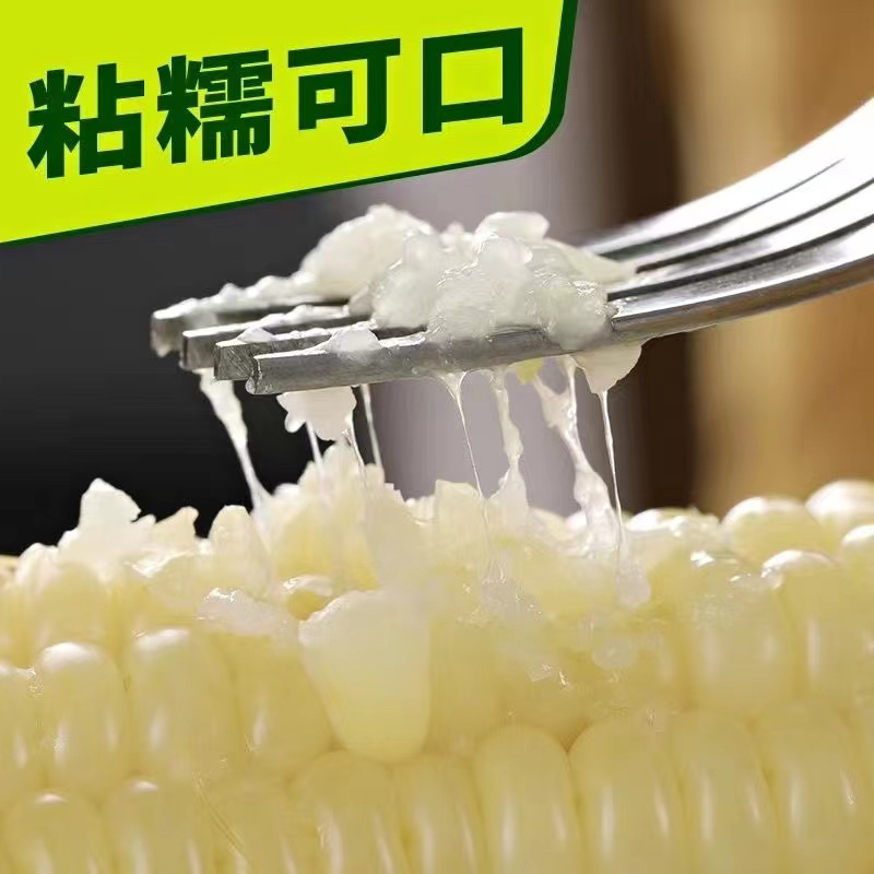 速冻甜糯玉米，货源充足，供货稳定！可视频看货！