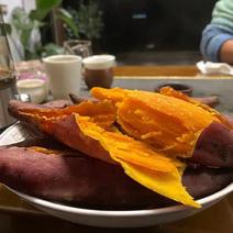 精品西瓜红红薯广东红薯量大价优对接市场电商批发