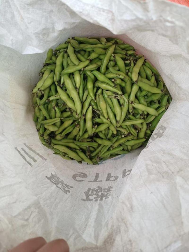 新鲜老品种蚕豆，壳也可以食用，口感甜糯