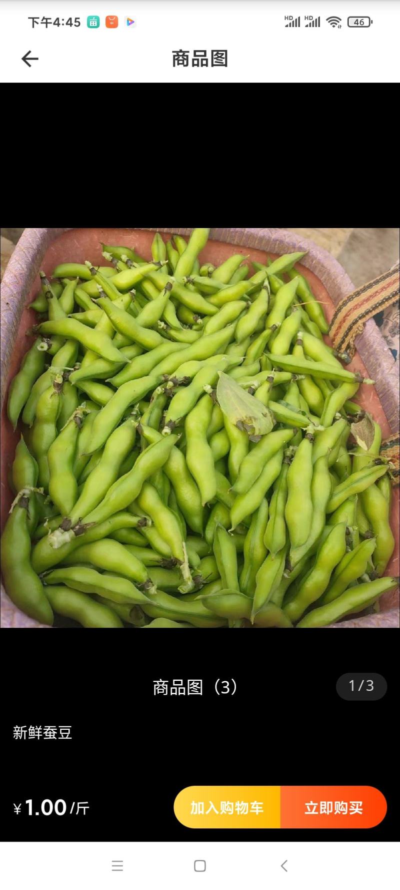 新鲜老品种蚕豆，壳也可以食用，口感甜糯