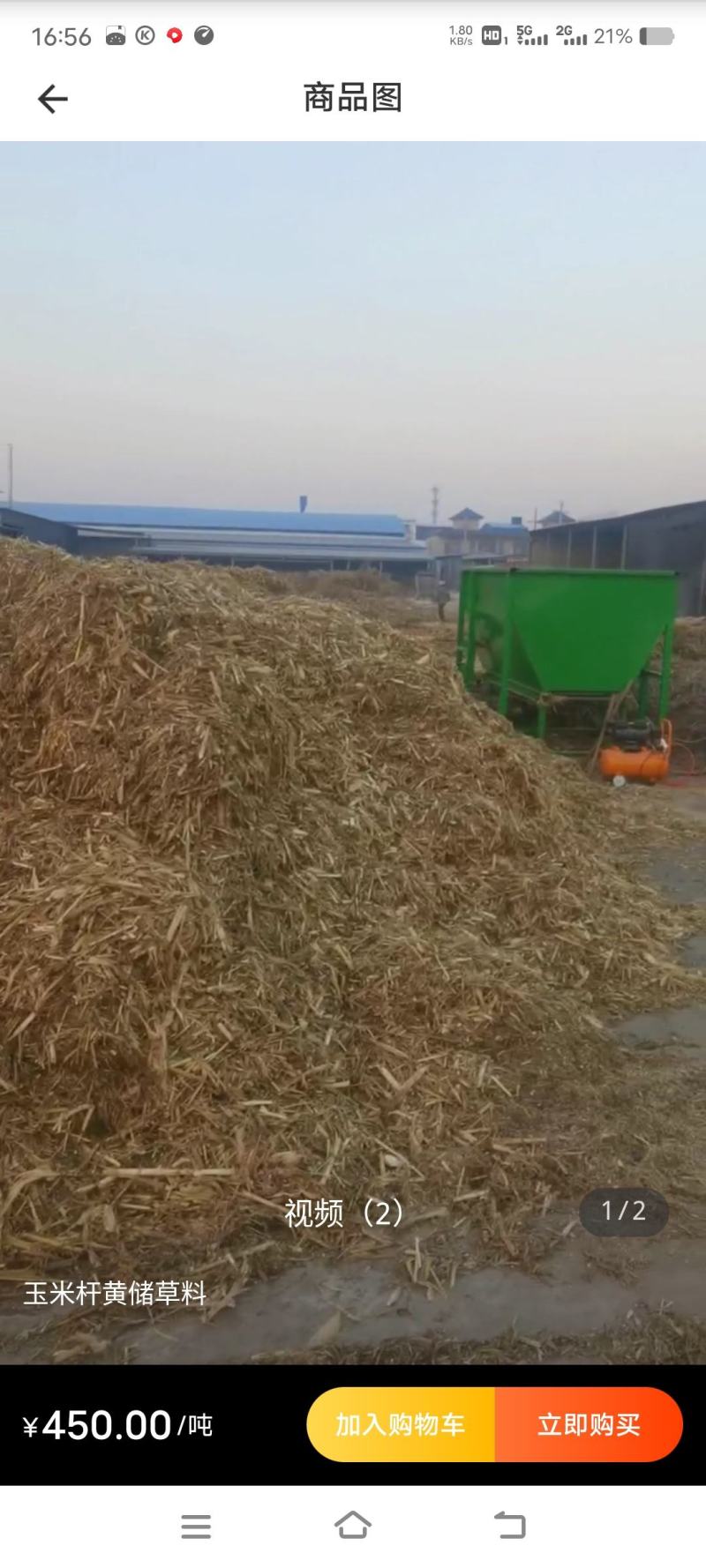 玉米黄储