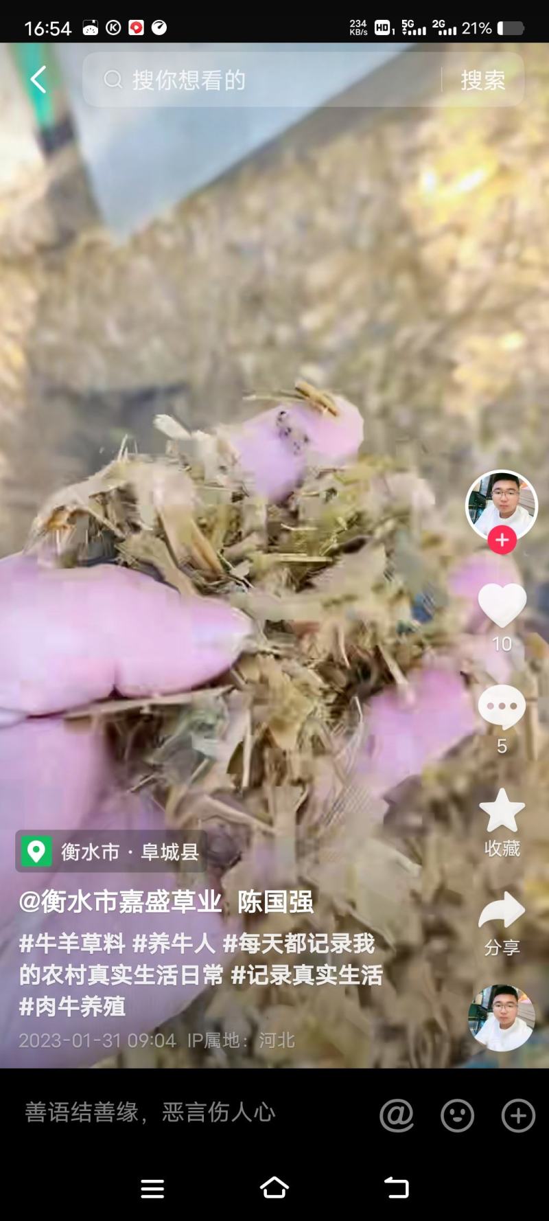 玉米黄储