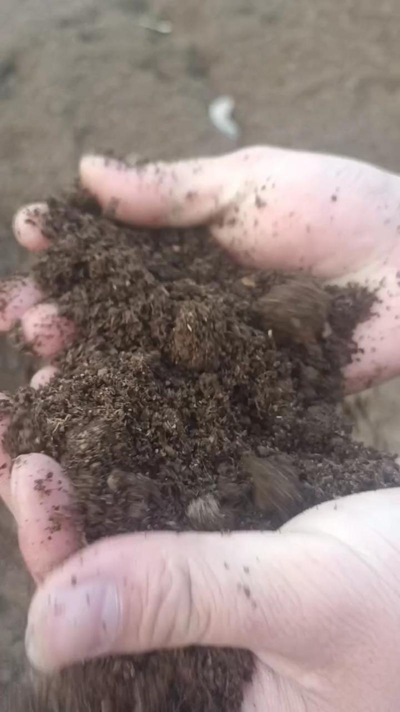 疏松土壤好帮手！羊粪，兔粪。牛粪，三合一发酵有机肥