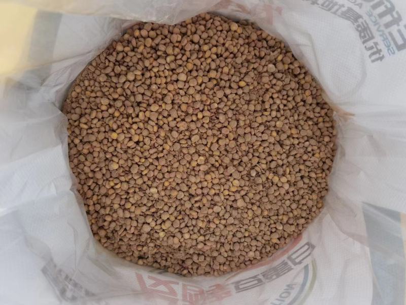 发酵大豆，纯黄色，正八经大豆发酵，不是库存底货，霉豆
