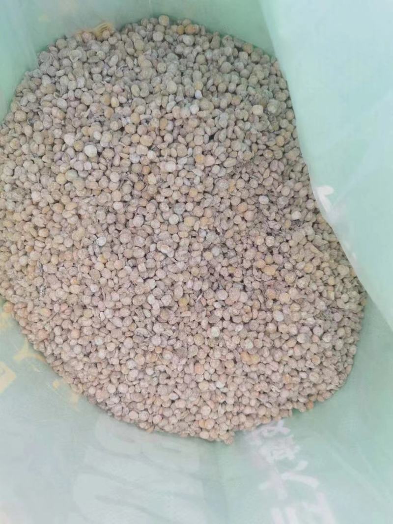 发酵大豆，纯黄色，正八经大豆发酵，不是库存底货，霉豆