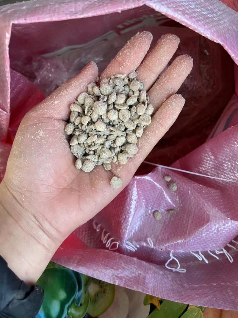 发酵大豆，纯黄色，正八经大豆发酵，不是库存底货，霉豆