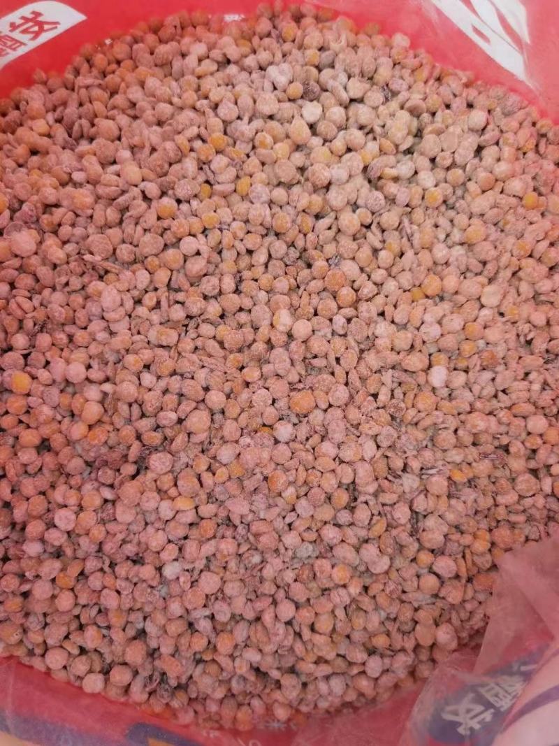 发酵大豆，纯黄色，正八经大豆发酵，不是库存底货，霉豆