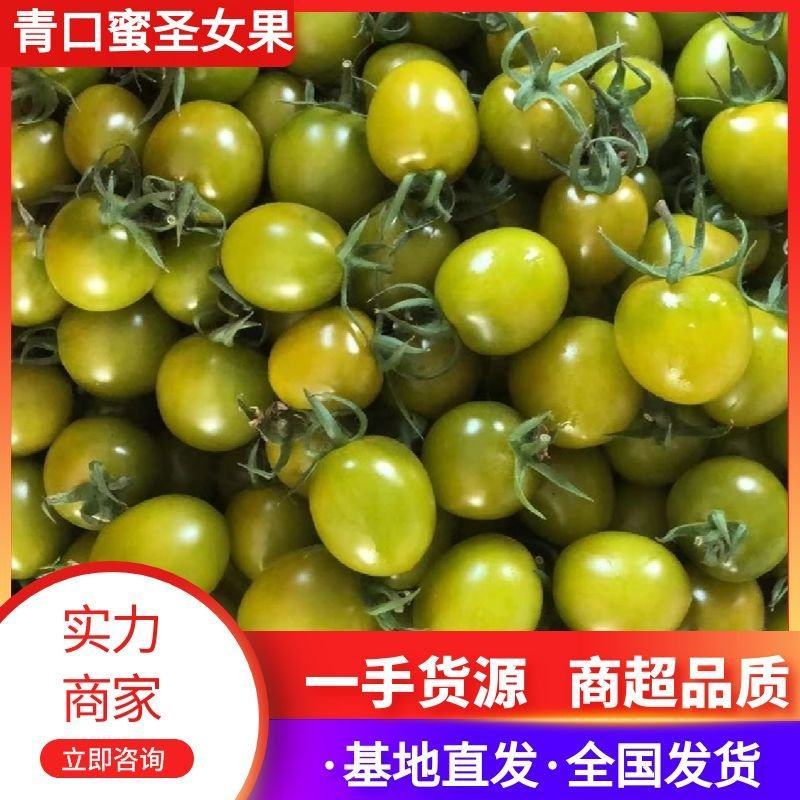 山东寿光青口密原产地一手货源实力代办口感好