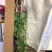云南基地直发昆明鲜花直批玫瑰花批发20支鲜切花速配花束插