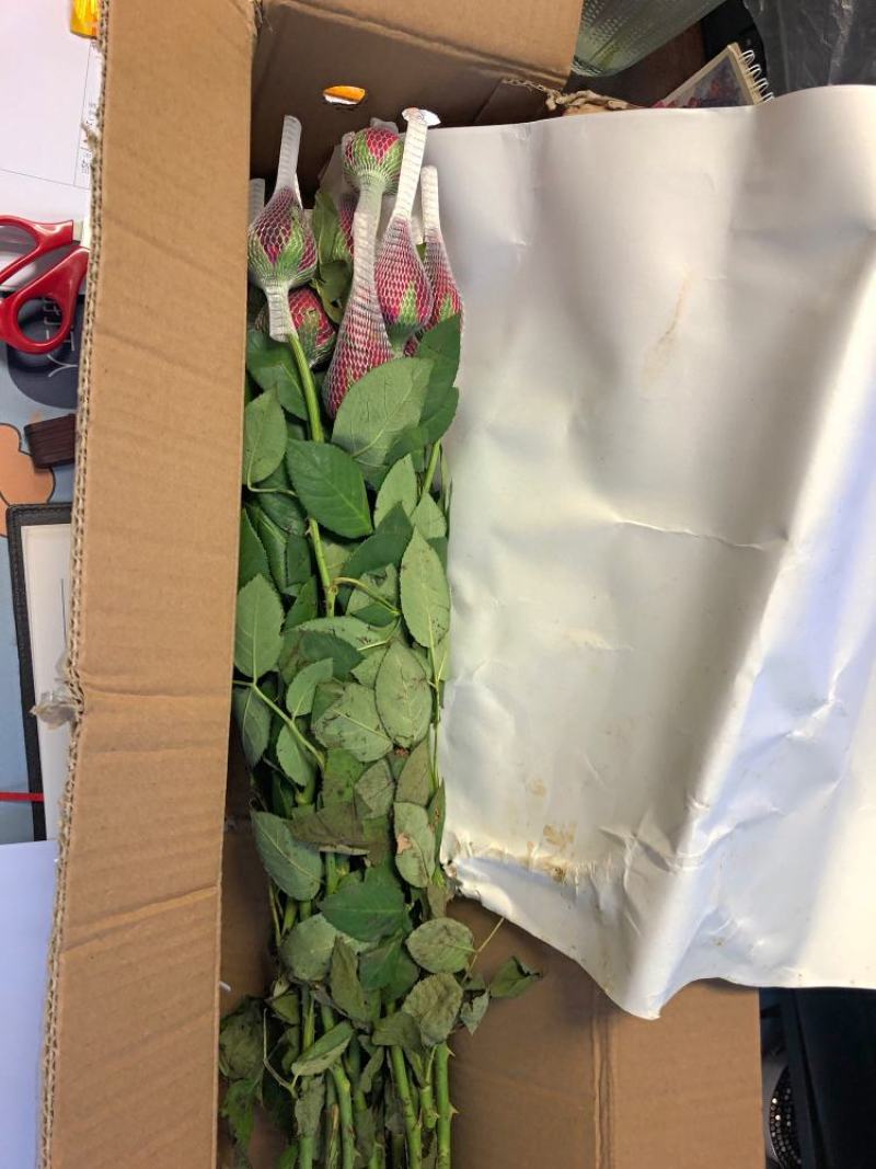云南基地直发昆明鲜花直批玫瑰花批发20支鲜切花速配花束插