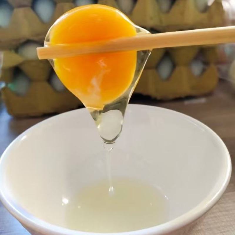 480枚绿壳鸡蛋绿壳乌鸡蛋绿壳草鸡蛋鸡场直供新鲜