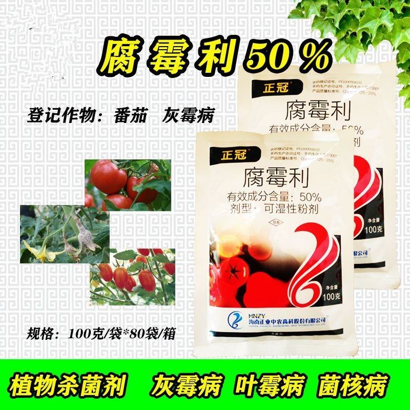 正业正冠腐霉利50%番茄灰霉病草莓番茄葡萄辣椒菌核病杀