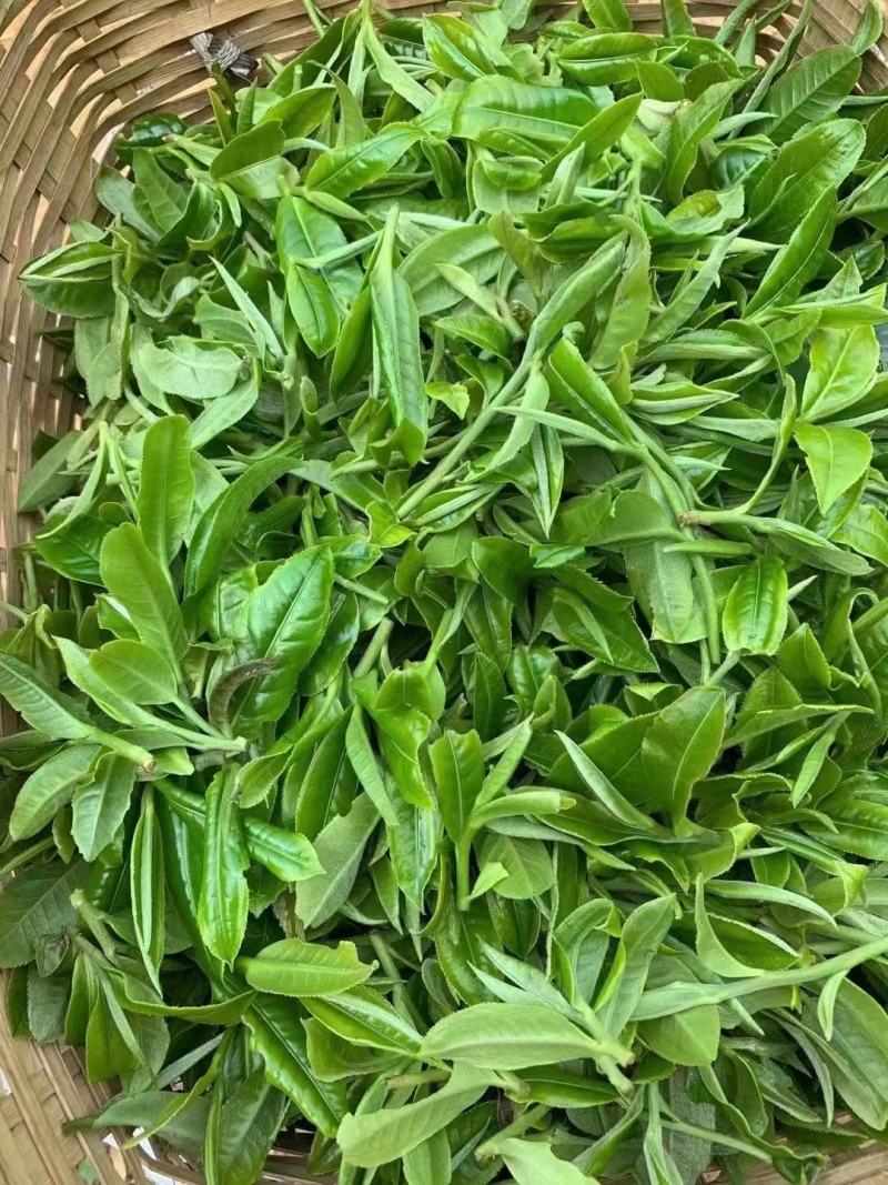 茶叶