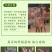 梅花鹿活物小鹿苗一对幼崽家养小型成年鹿活苗小鹿观赏梅花鹿