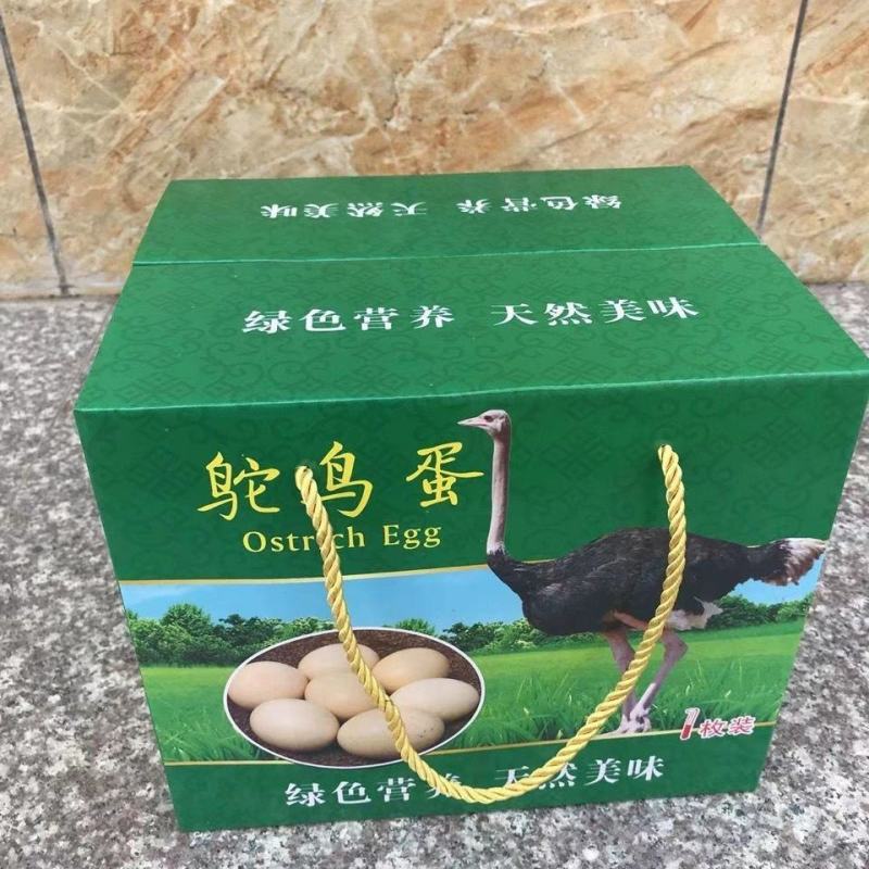 超大鸵鸟蛋农村养殖社,新鲜鸵鸟蛋农家散养鸵鸟蛋壳