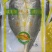 黄鱼开背黄鱼调味黄鱼冷冻开背黄鱼江苏海鲜水产