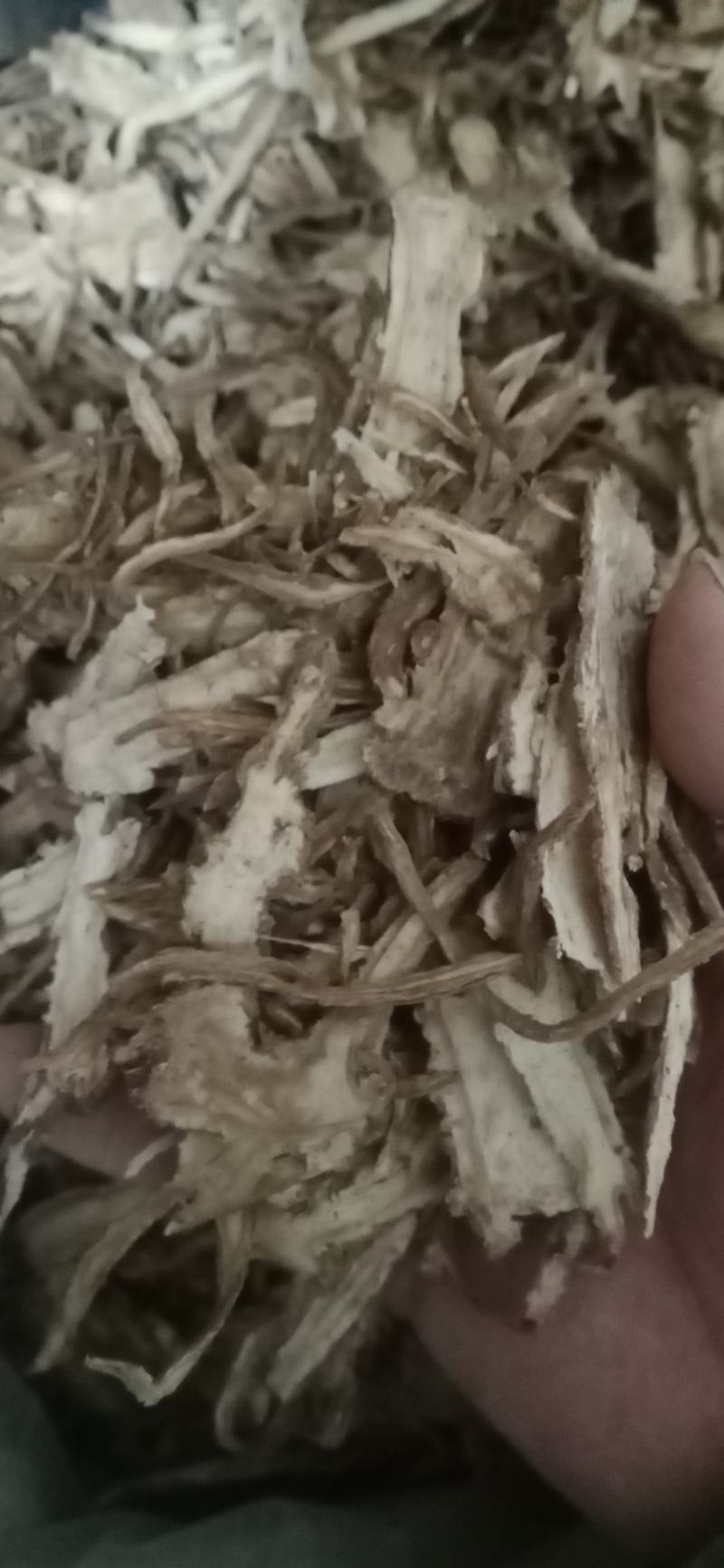 【当归】产地中药材批发.质量保证规格齐全.