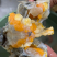 肉蟹/膏蟹/青蟹