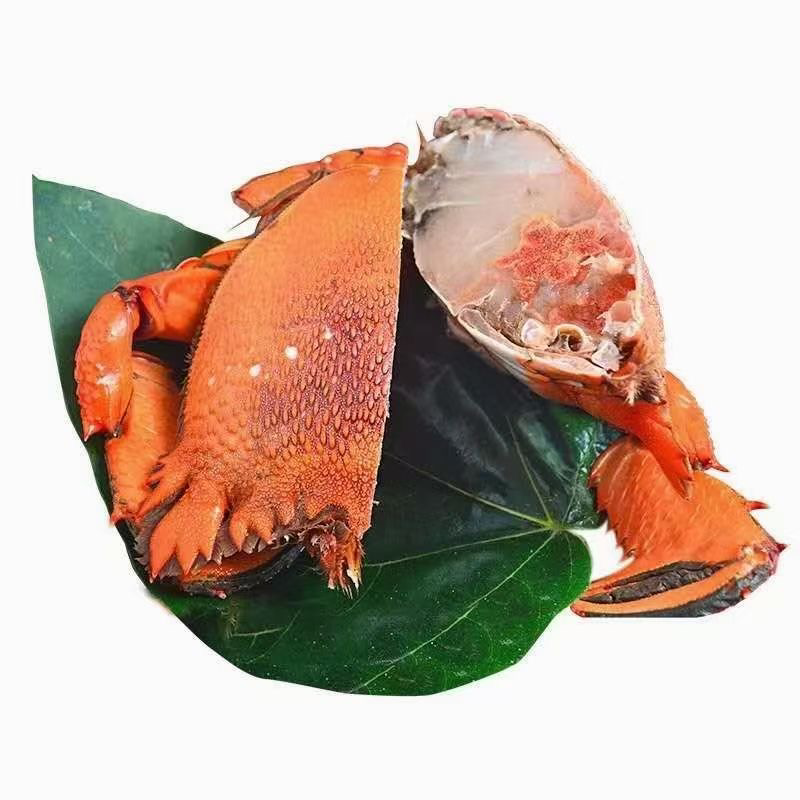 老虎蟹